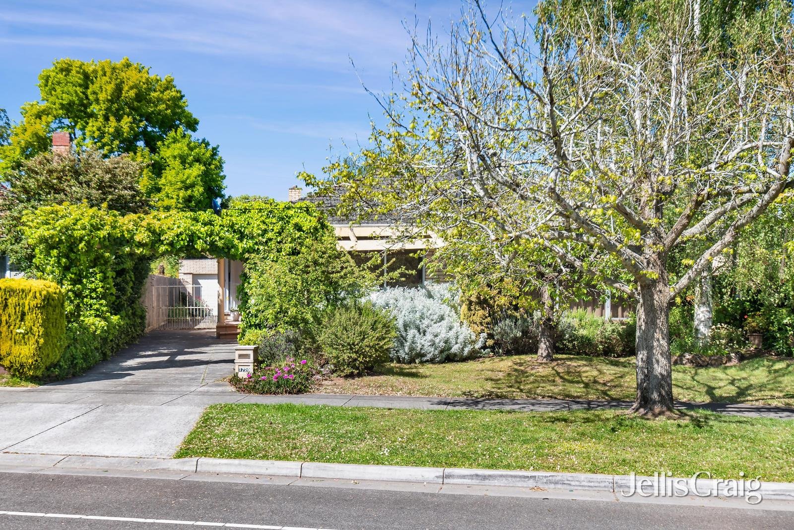 1729 Sturt Street, Alfredton image 3