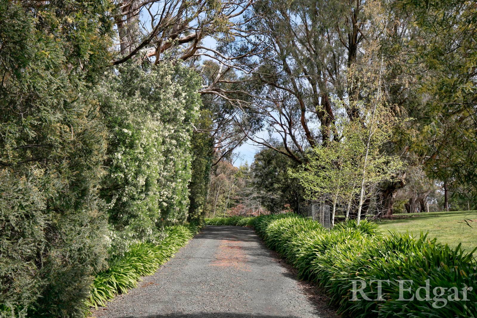 Property Gallery Thumbnail 4