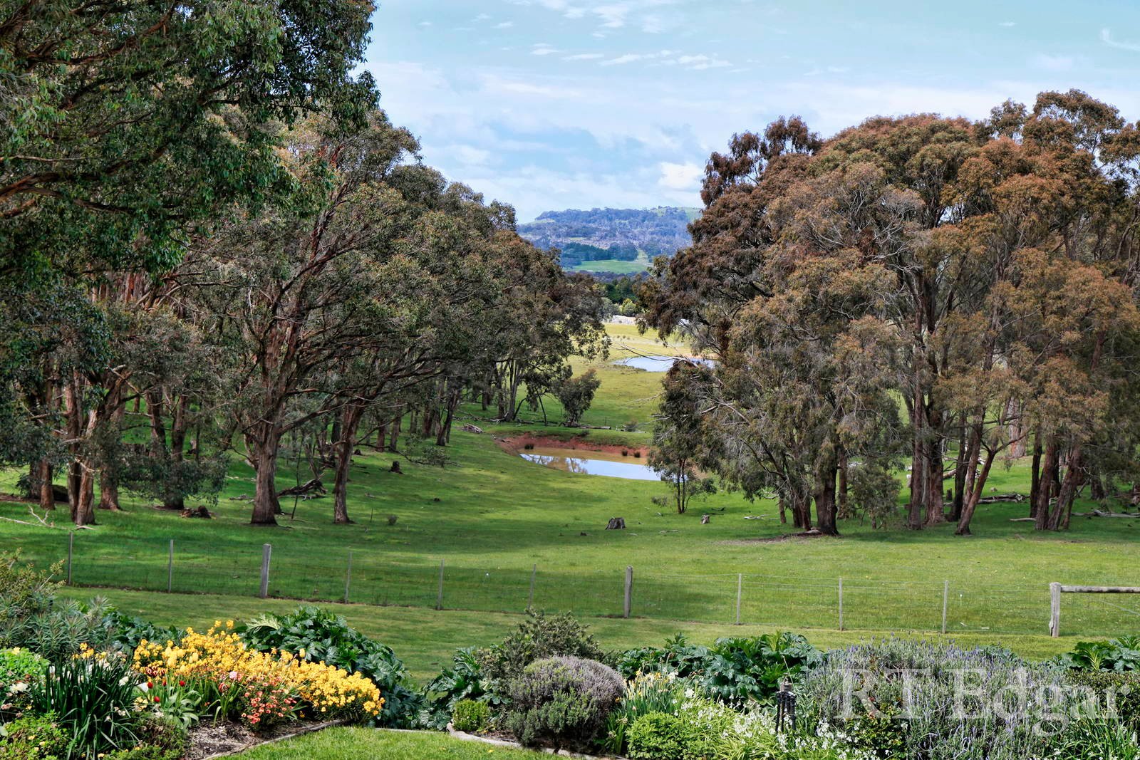 Property Gallery Thumbnail 20