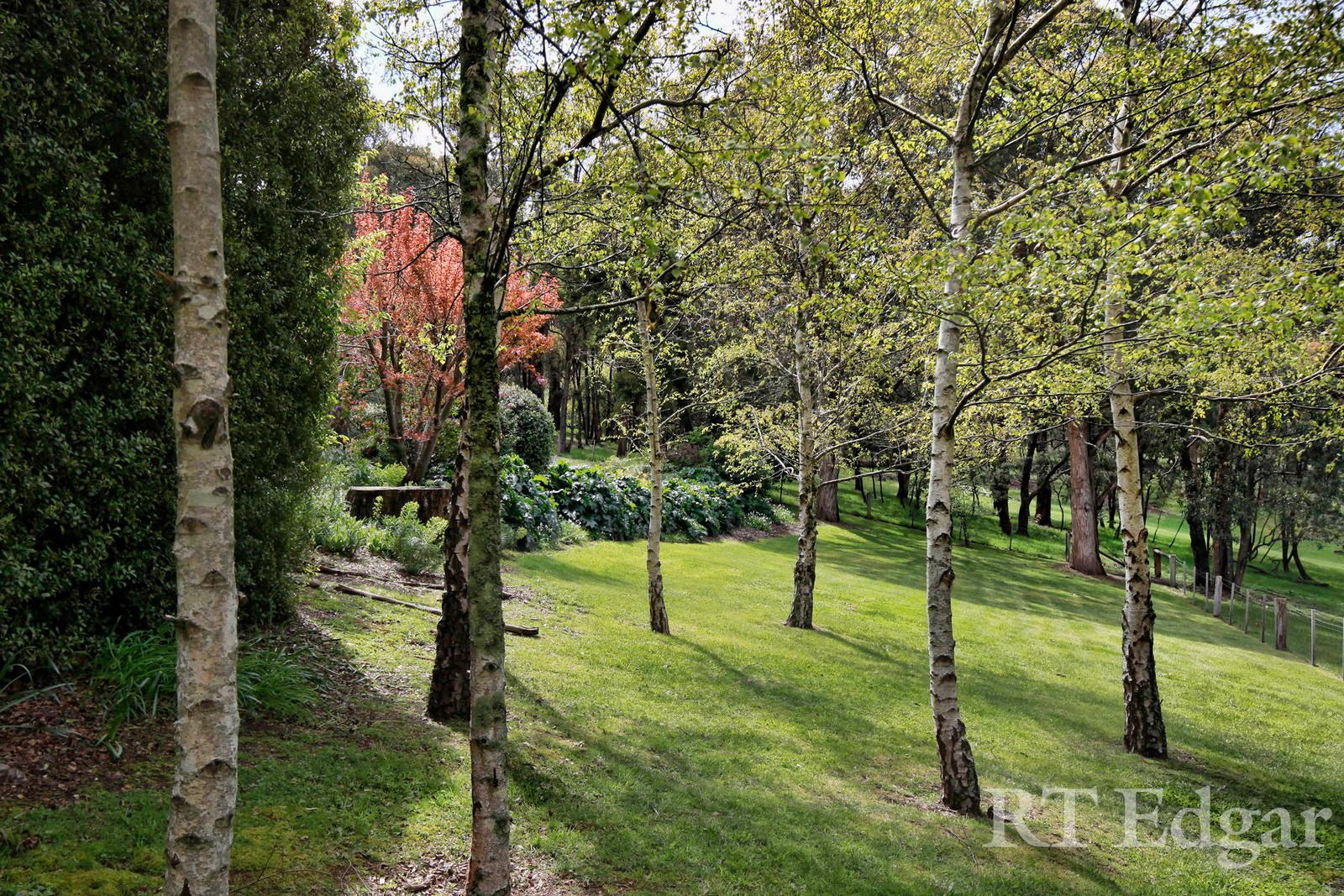 Property Gallery Thumbnail 22