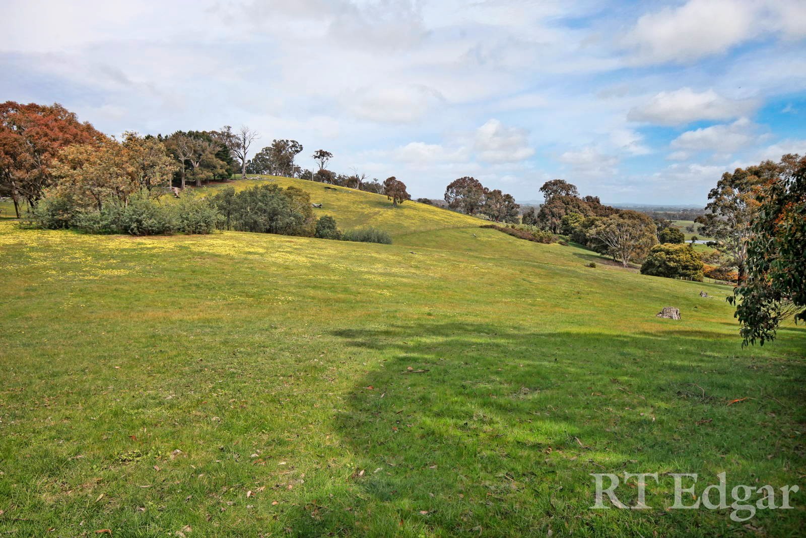 Property Gallery Thumbnail 24