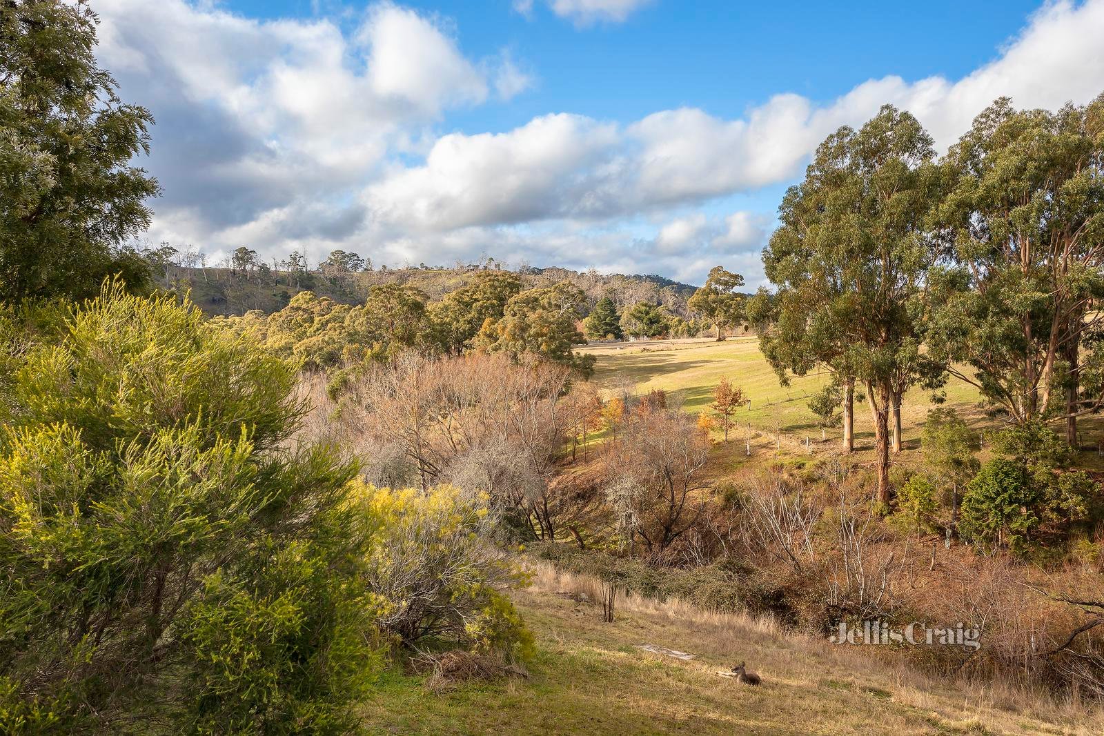 173A Main Road, Hepburn image 8