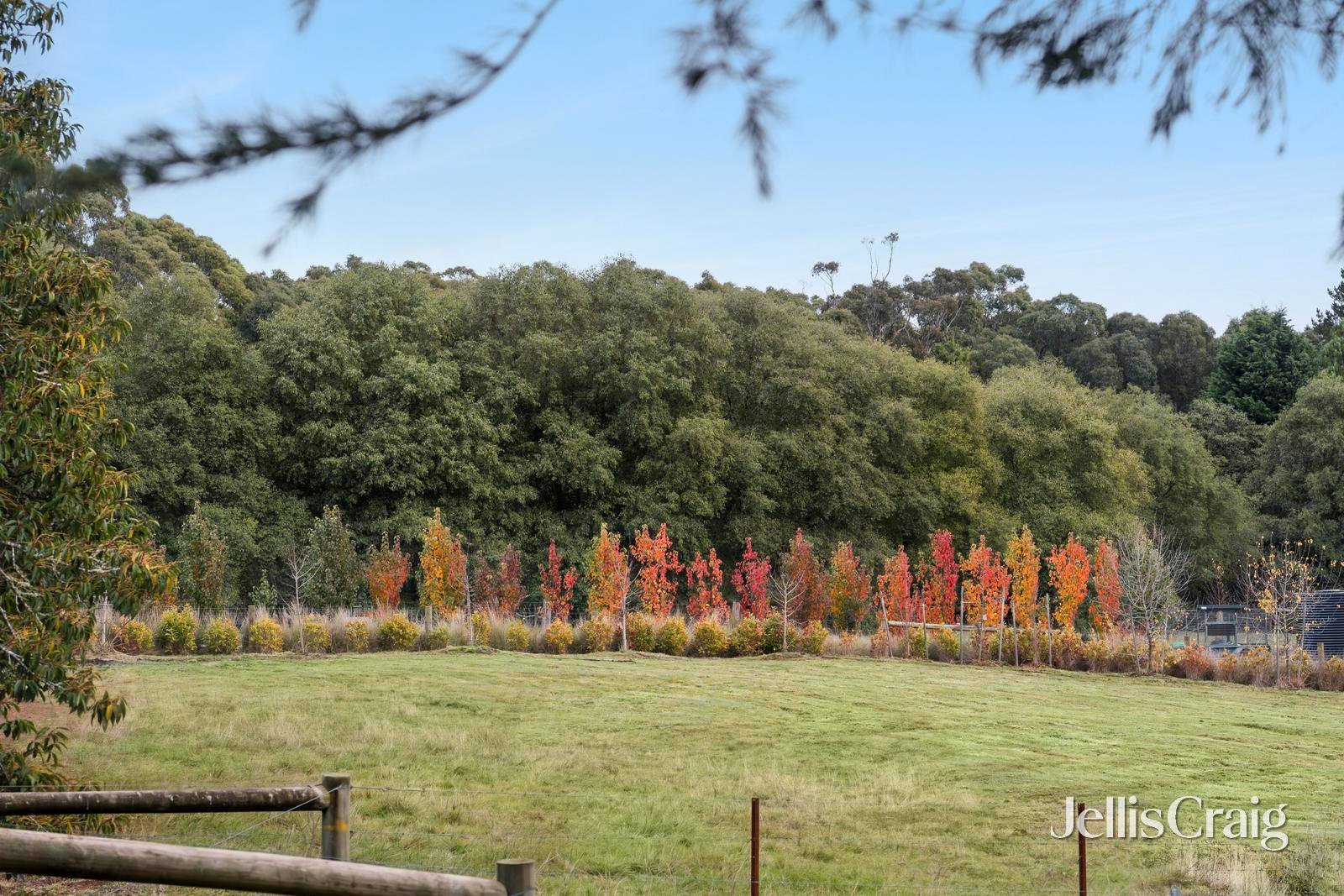 174 Mulcahys Road, Trentham image 3