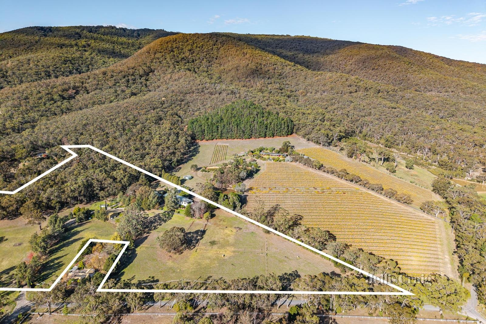 174 Pine Avenue, Badger Creek image 32