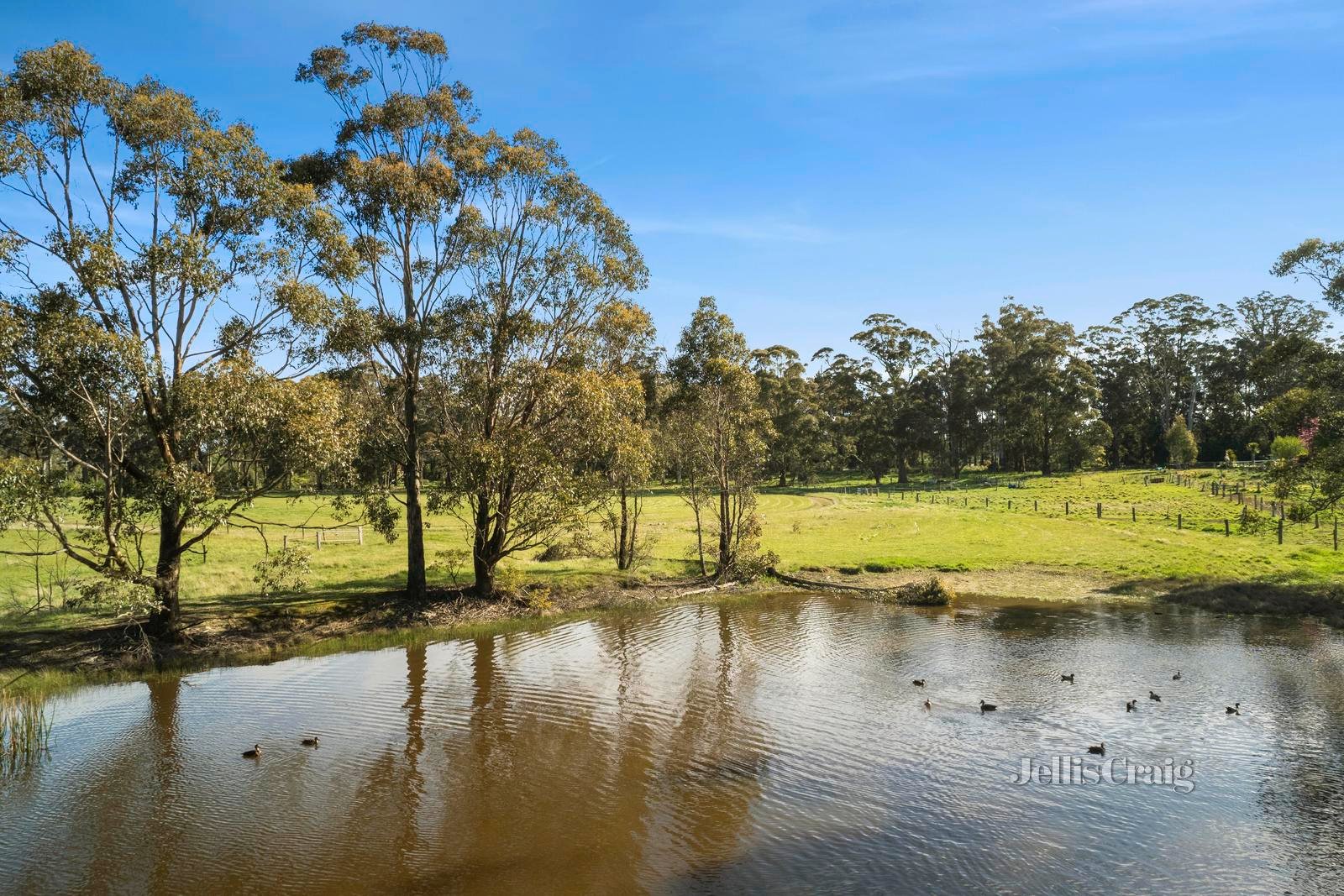 1754 Ballan Daylesford Road, Korweinguboora image 12