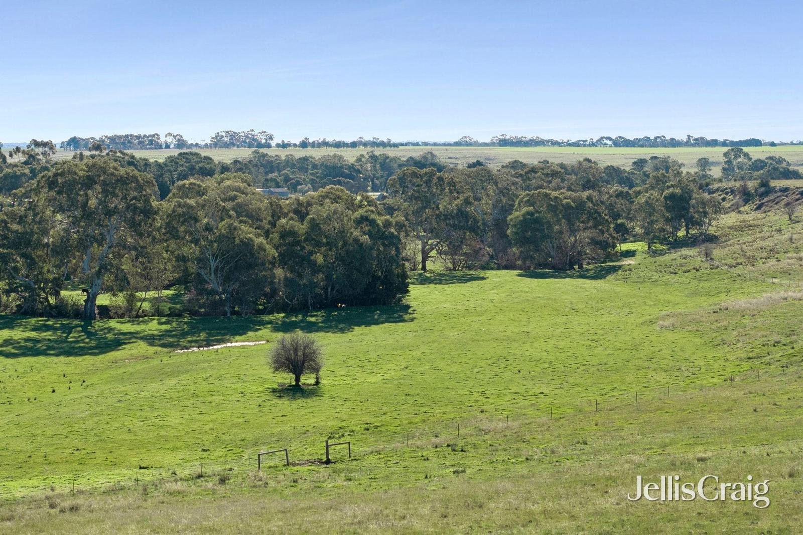 1769 Creswick Newstead Road, Campbelltown image 5