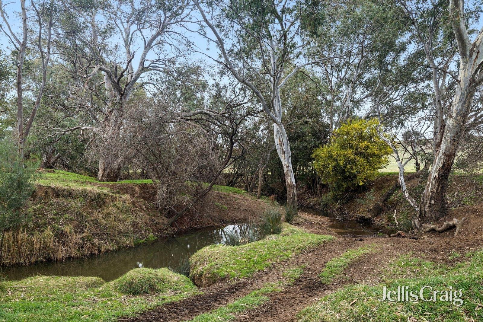 1769 Creswick Newstead Road, Campbelltown image 7