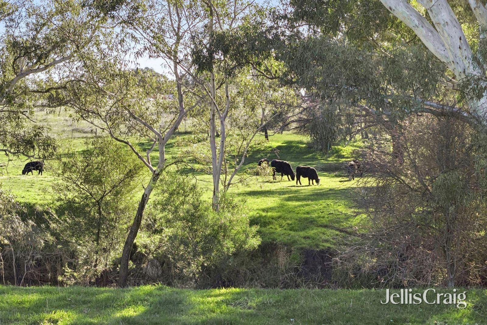 1769 Creswick Newstead Road, Campbelltown image 32