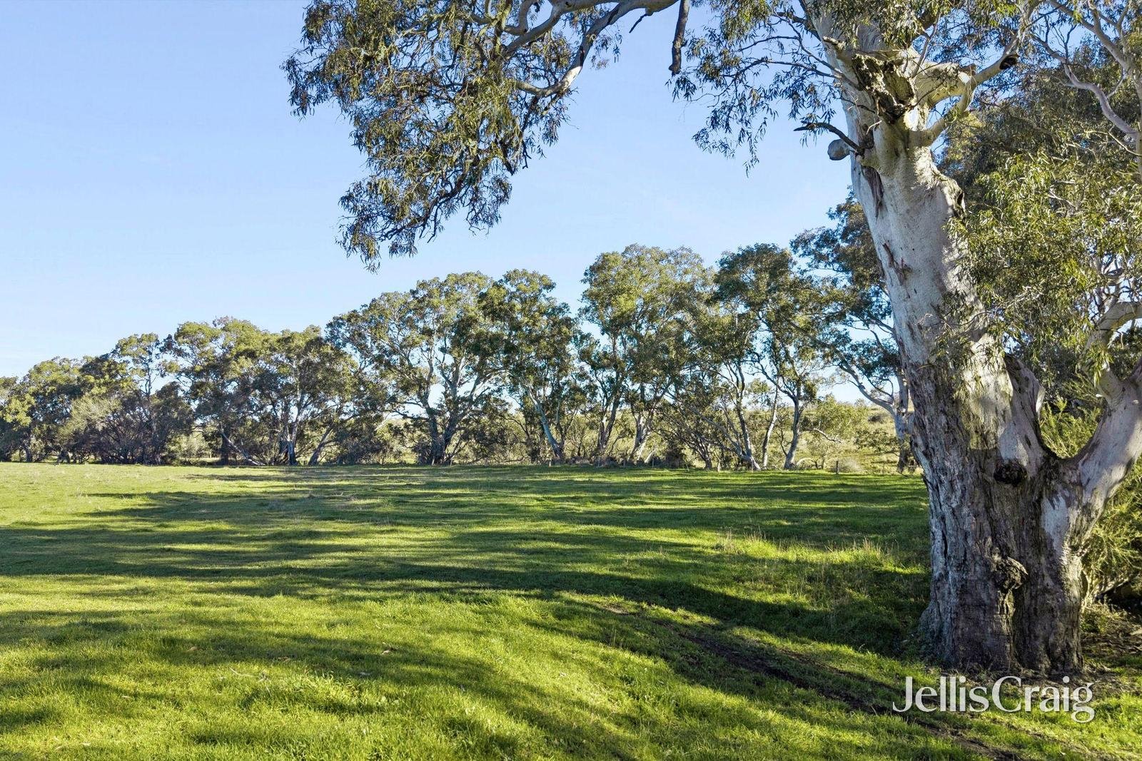 1769 Creswick Newstead Road, Campbelltown image 33