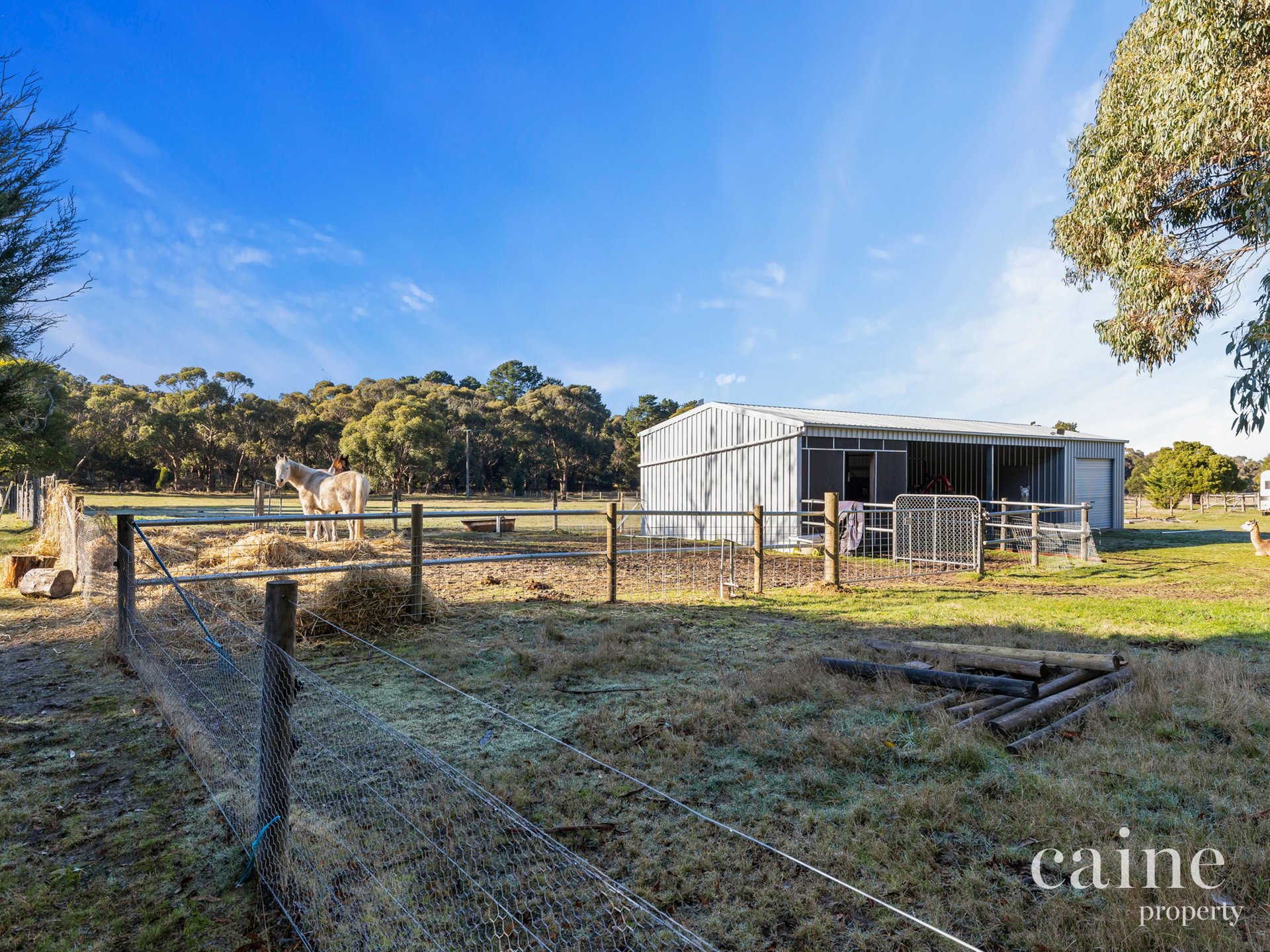 177 Hillcrest Road, Smythesdale image 16