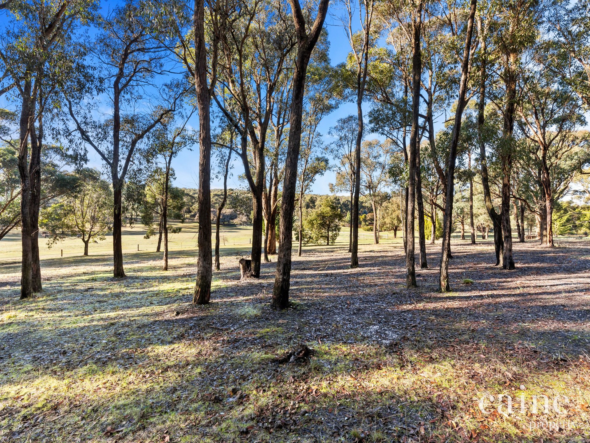 177 Hillcrest Road, Smythesdale image 17