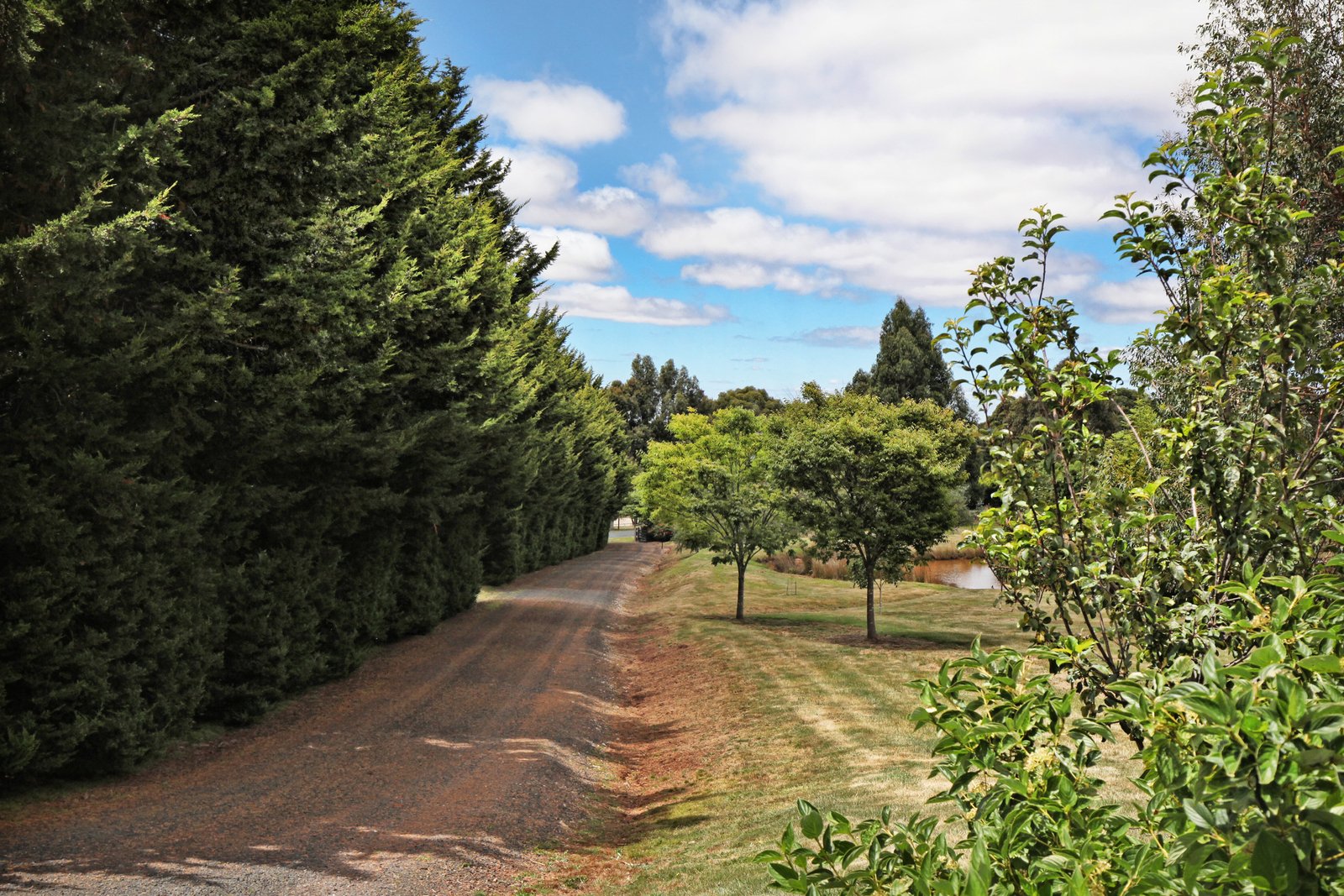 Property Gallery Thumbnail 22