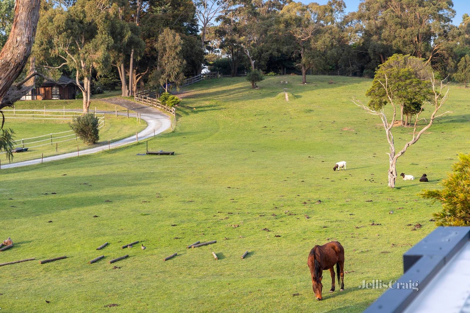 17A Anthony Street, Langwarrin image 17