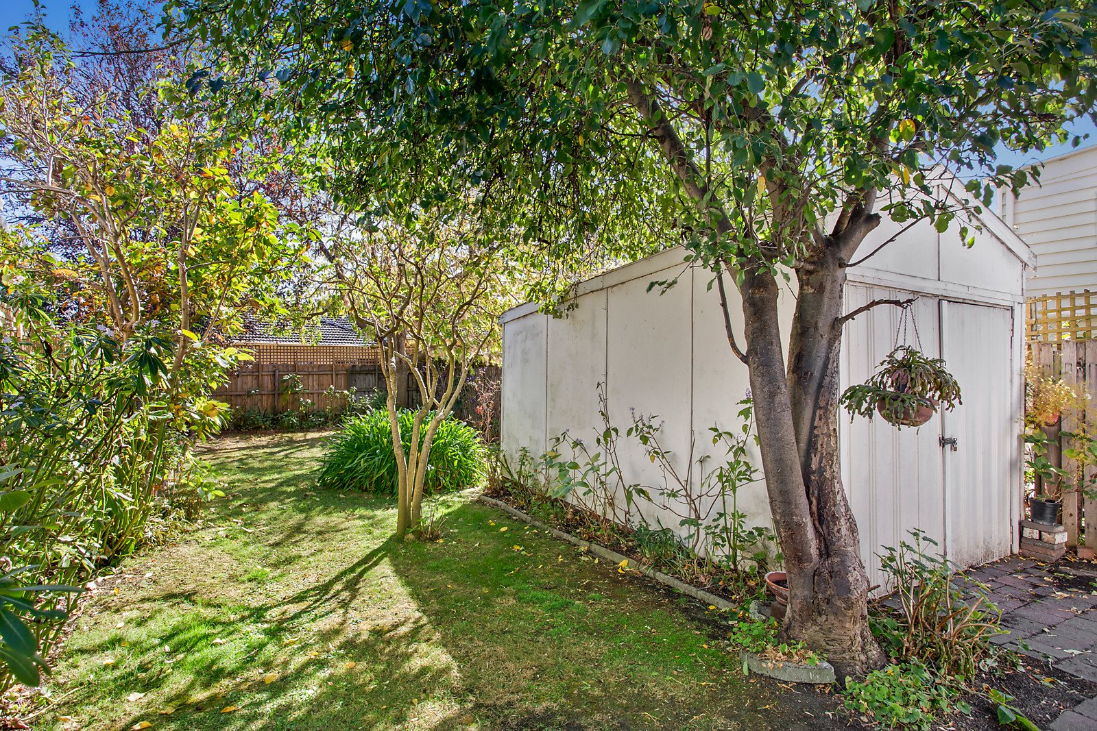 18 Beaconsfield Road, Hawthorn East image 3