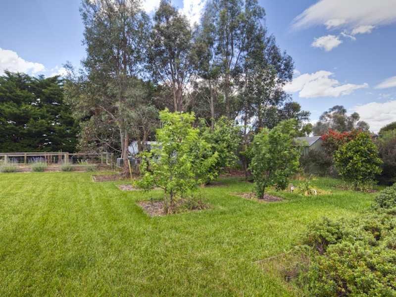 18 Buttercup Drive, Moriac image 16