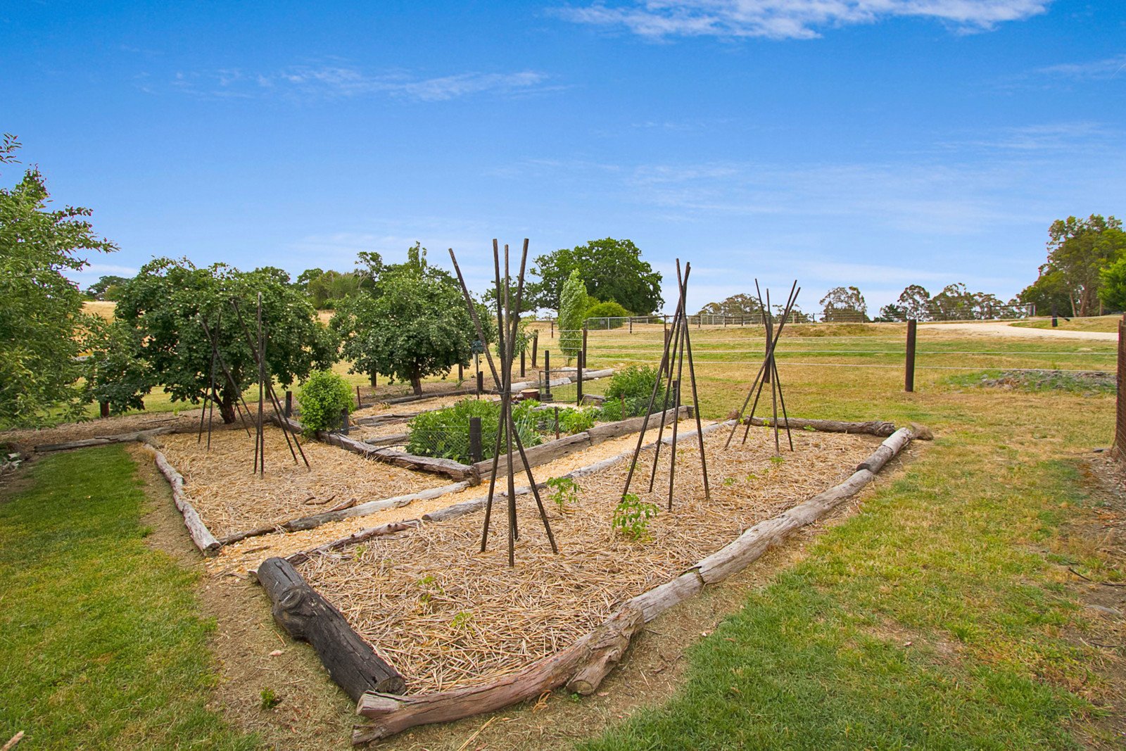 18 Castle Hill Road, Taradale image 8