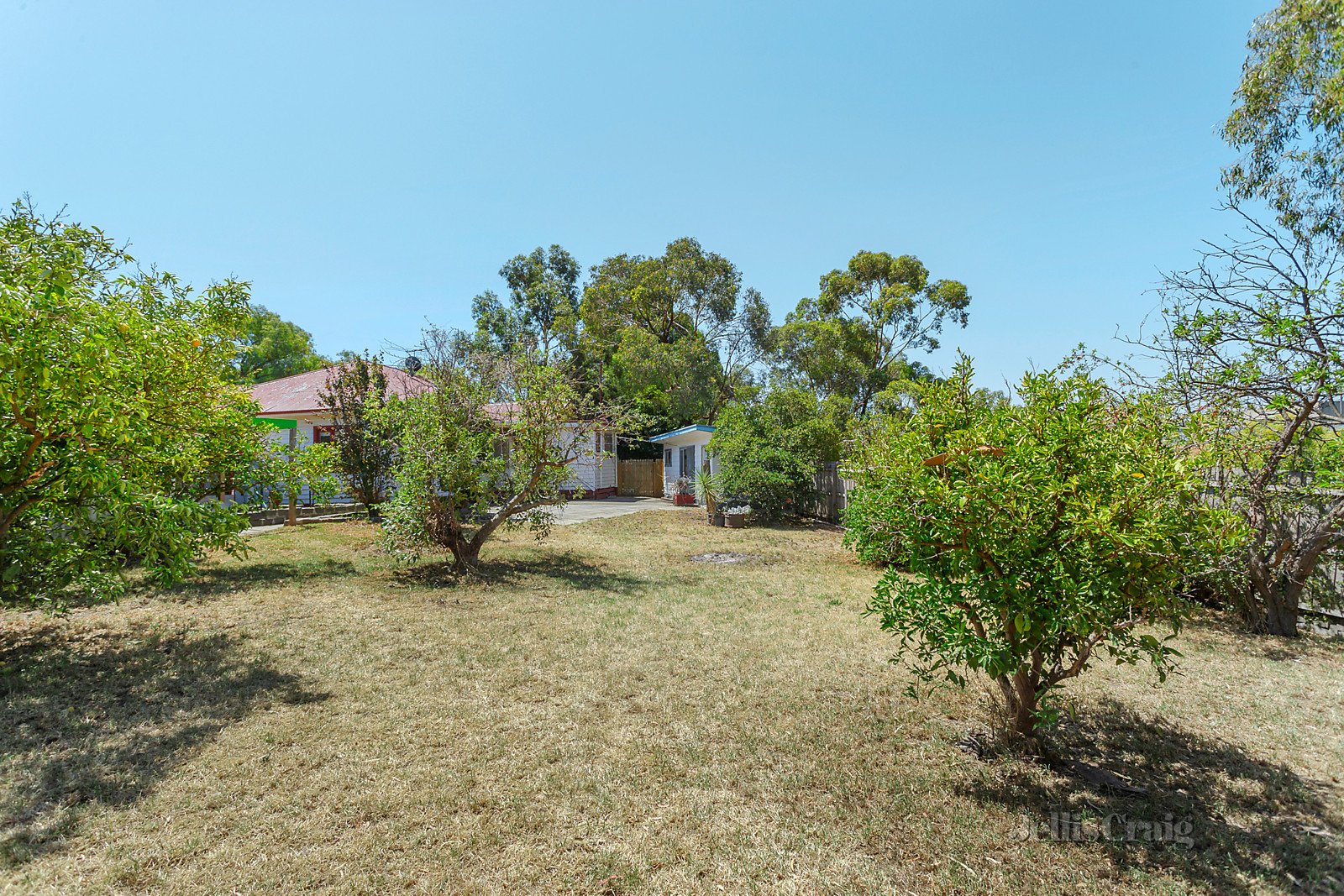 18 Clarke Street, Coburg North image 3