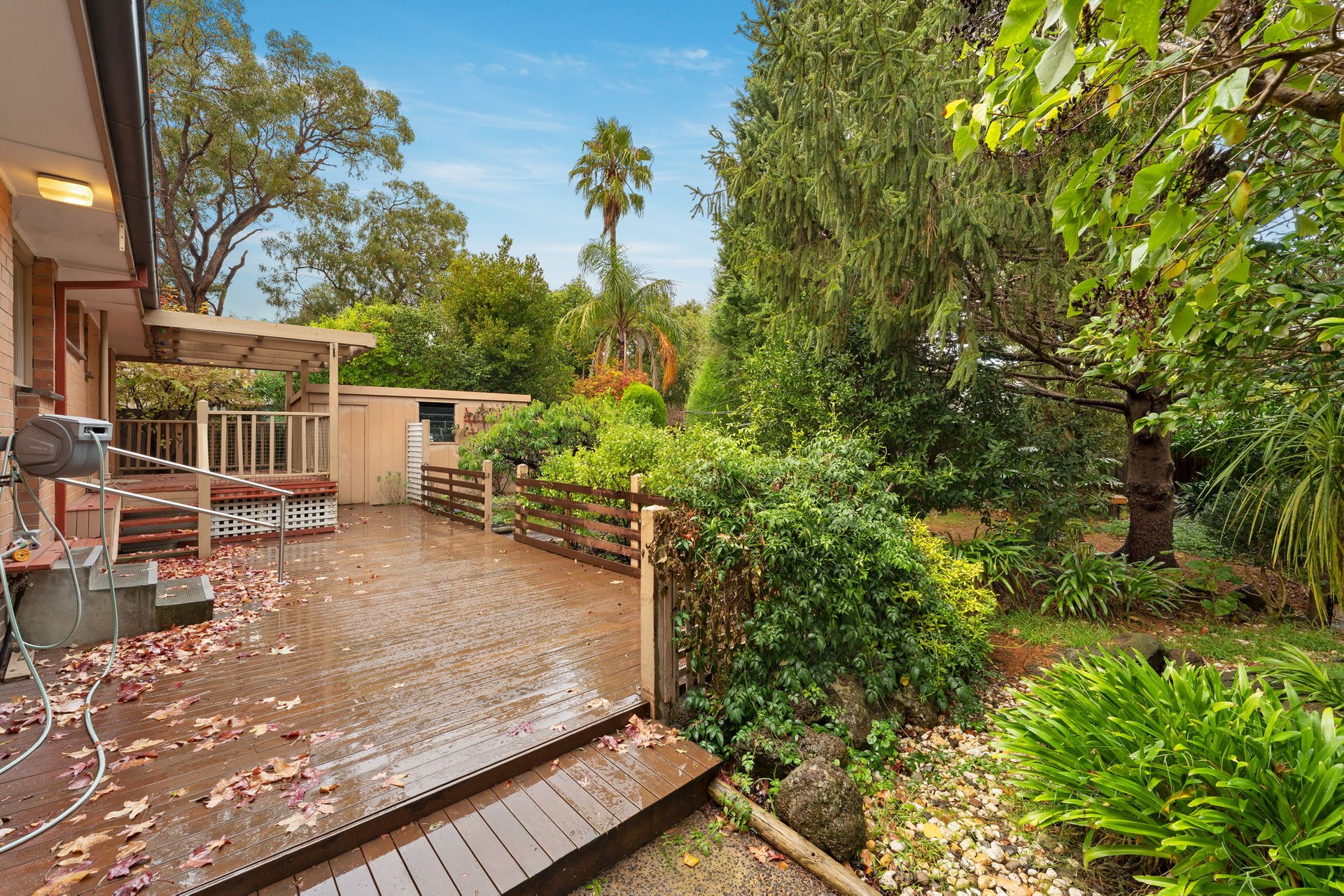 18 Cuthbert Street, Heathmont image 6