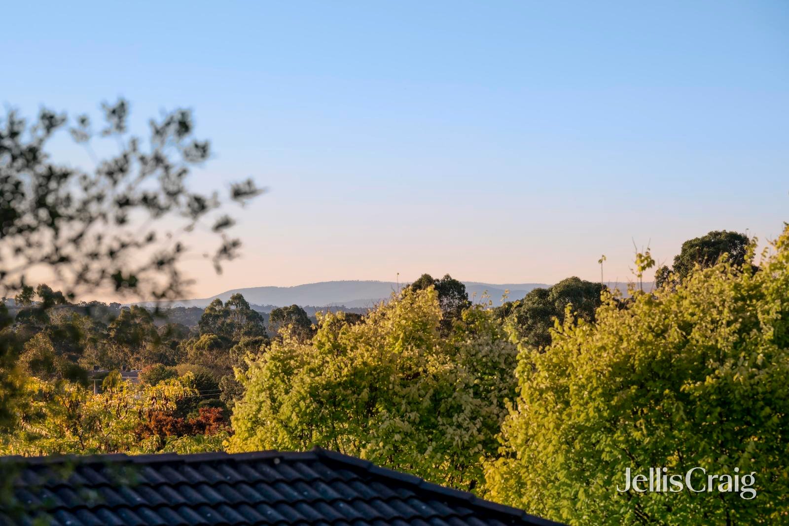 18 Delamere Drive, Chirnside&nbsp;Park image 19