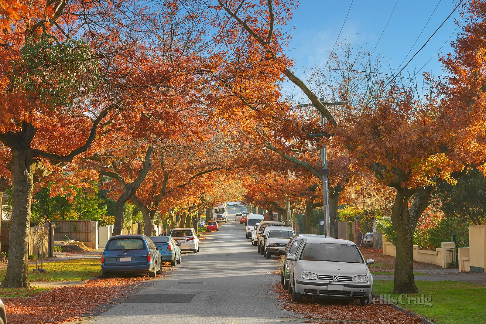 18 Ellis Road, Glen Iris image 5