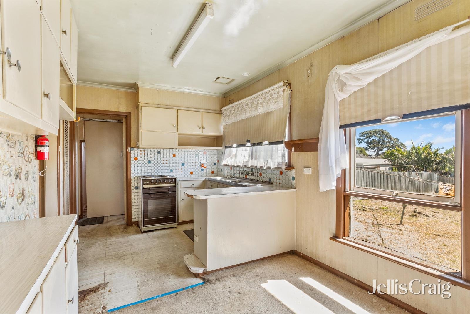 18 Finch Street, Burwood image 5