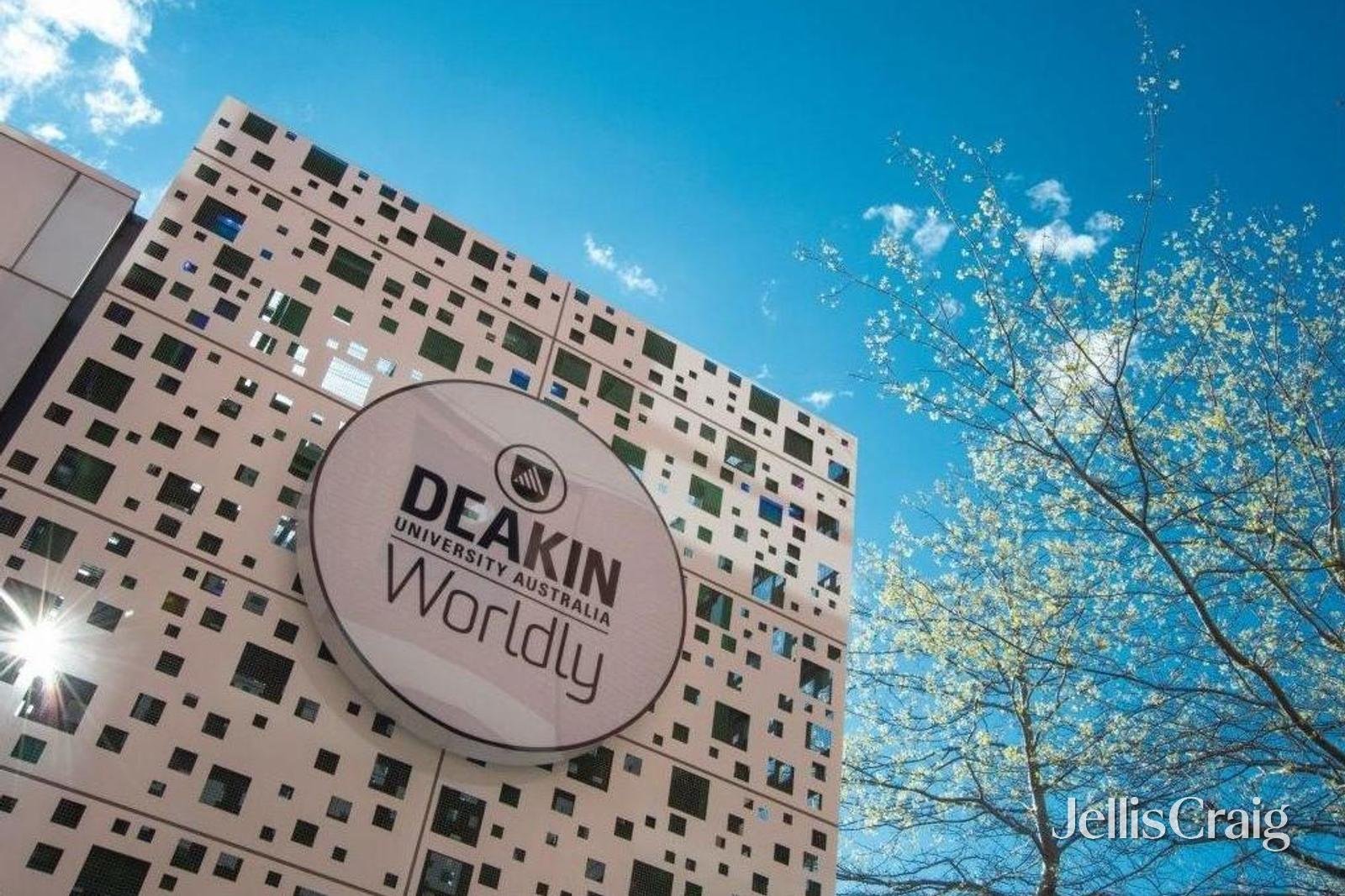 18 Finch Street, Burwood image 12