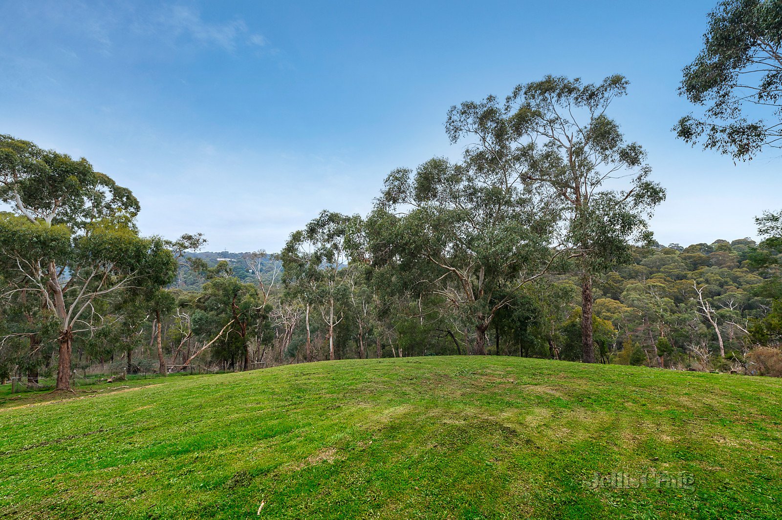 18 Heads Road, Donvale image 7