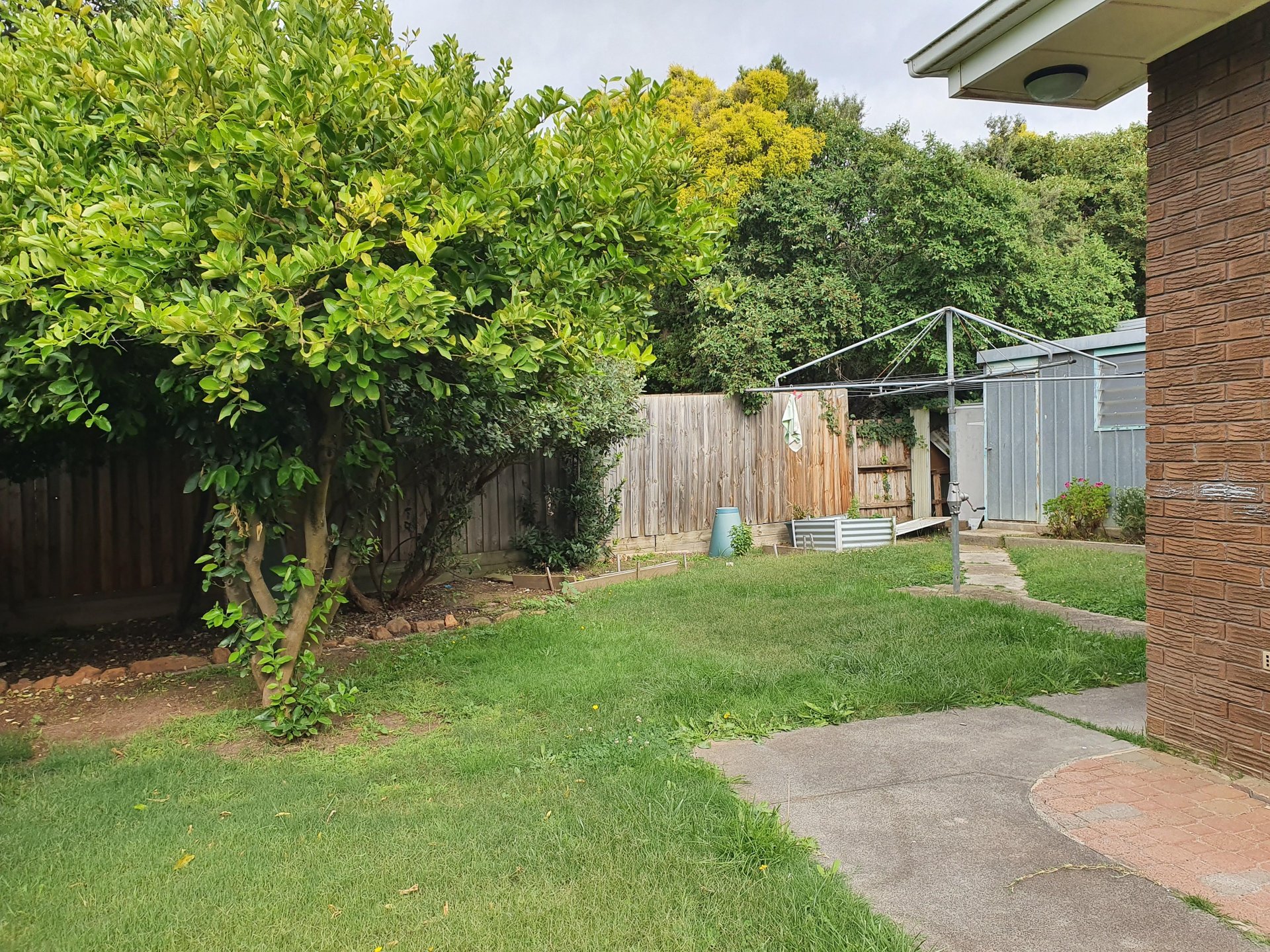 18 Lauer Street, Doncaster image 7