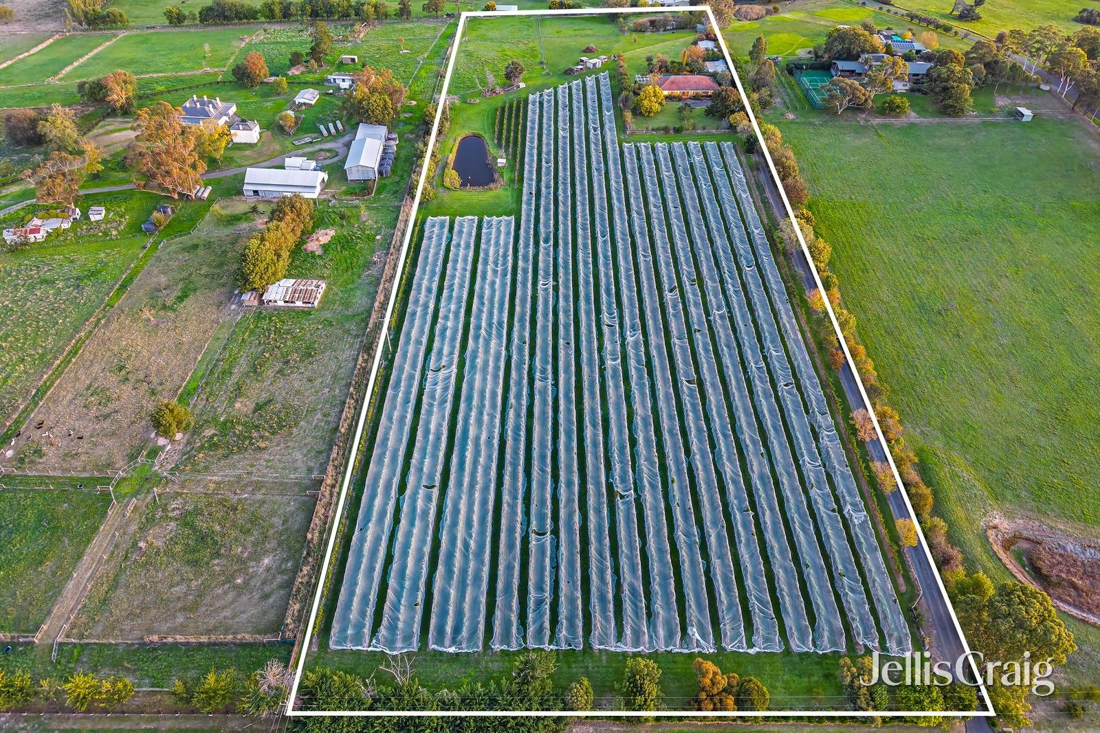 18 MacIntyre Lane, Yering image 3