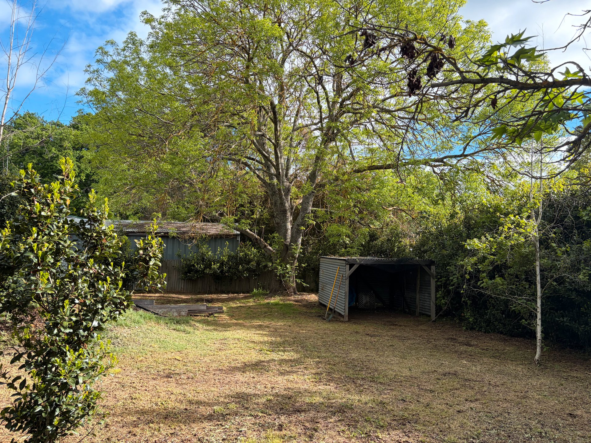 18 Maxwell Street, Kyneton image 10