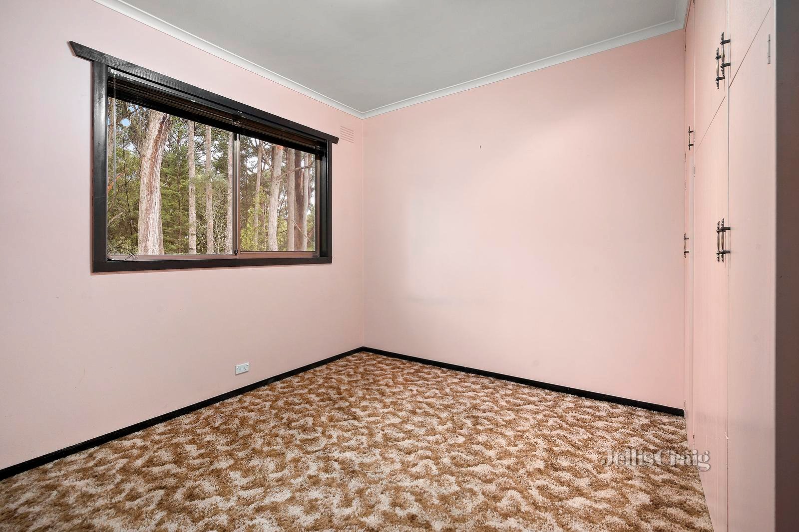 18 Mineral and Radium Avenue, Sailors&nbsp;Falls image 4