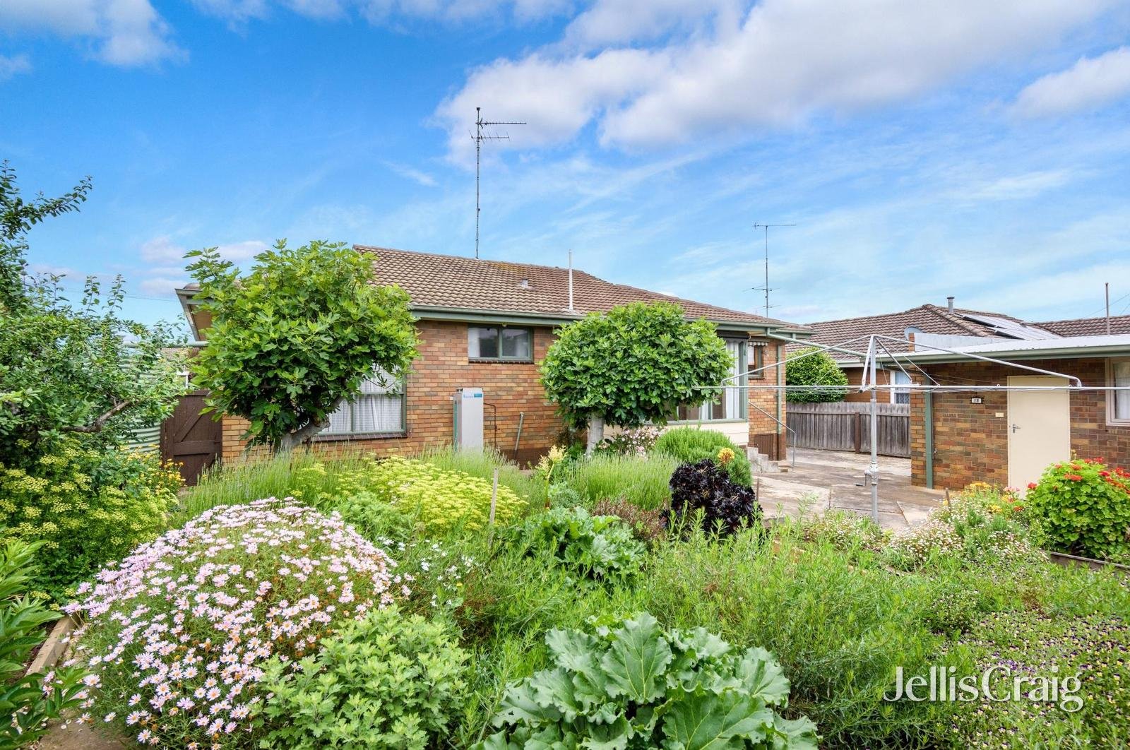 18 Ophir Street, Sebastopol image 10