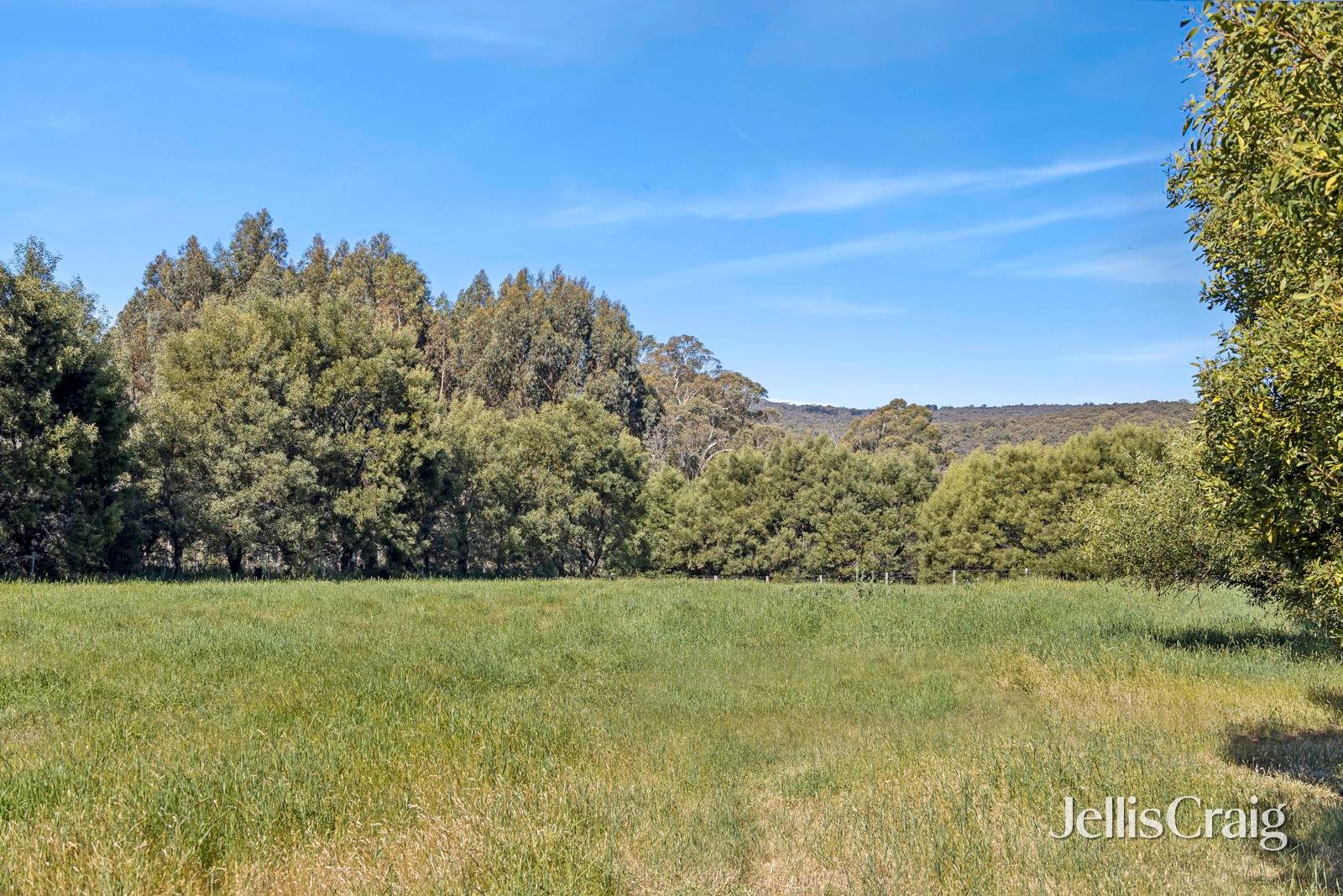 18 Regans Lane, Glenlyon image 5