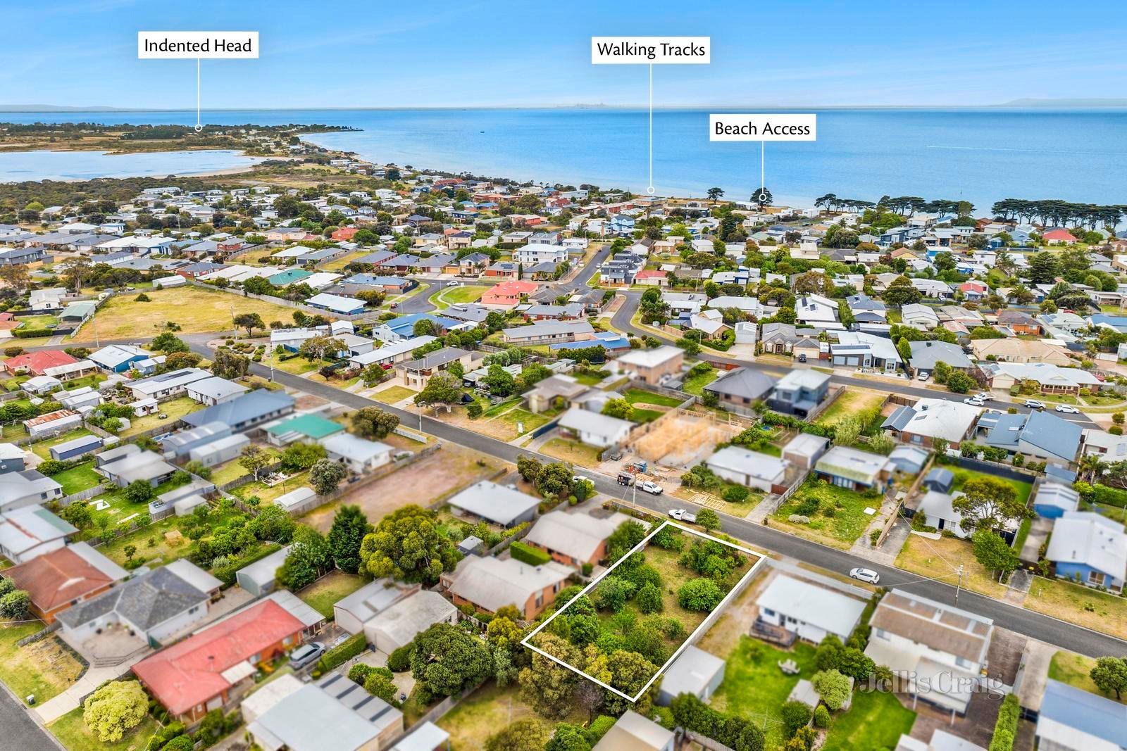 18 Wattletree Avenue, St&nbsp;Leonards image 2