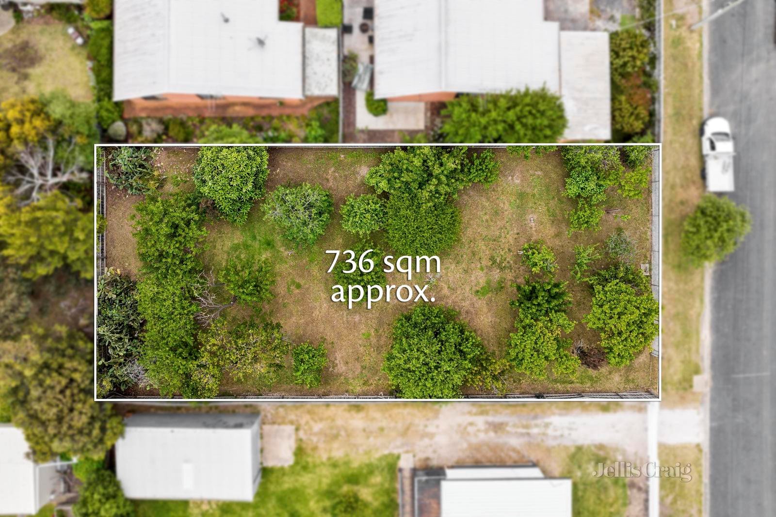 18 Wattletree Avenue, St&nbsp;Leonards image 4