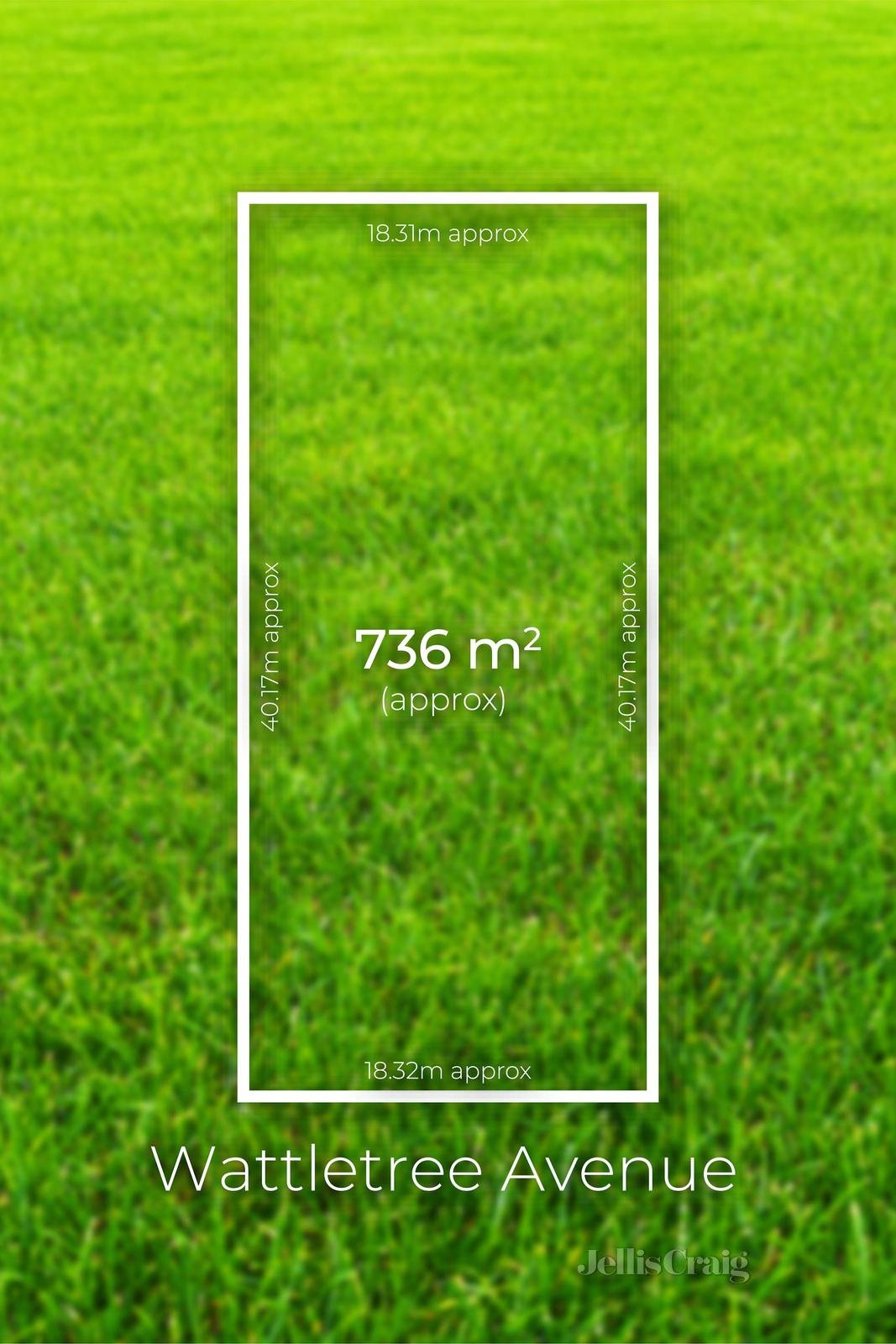 18 Wattletree Avenue, St&nbsp;Leonards image 6