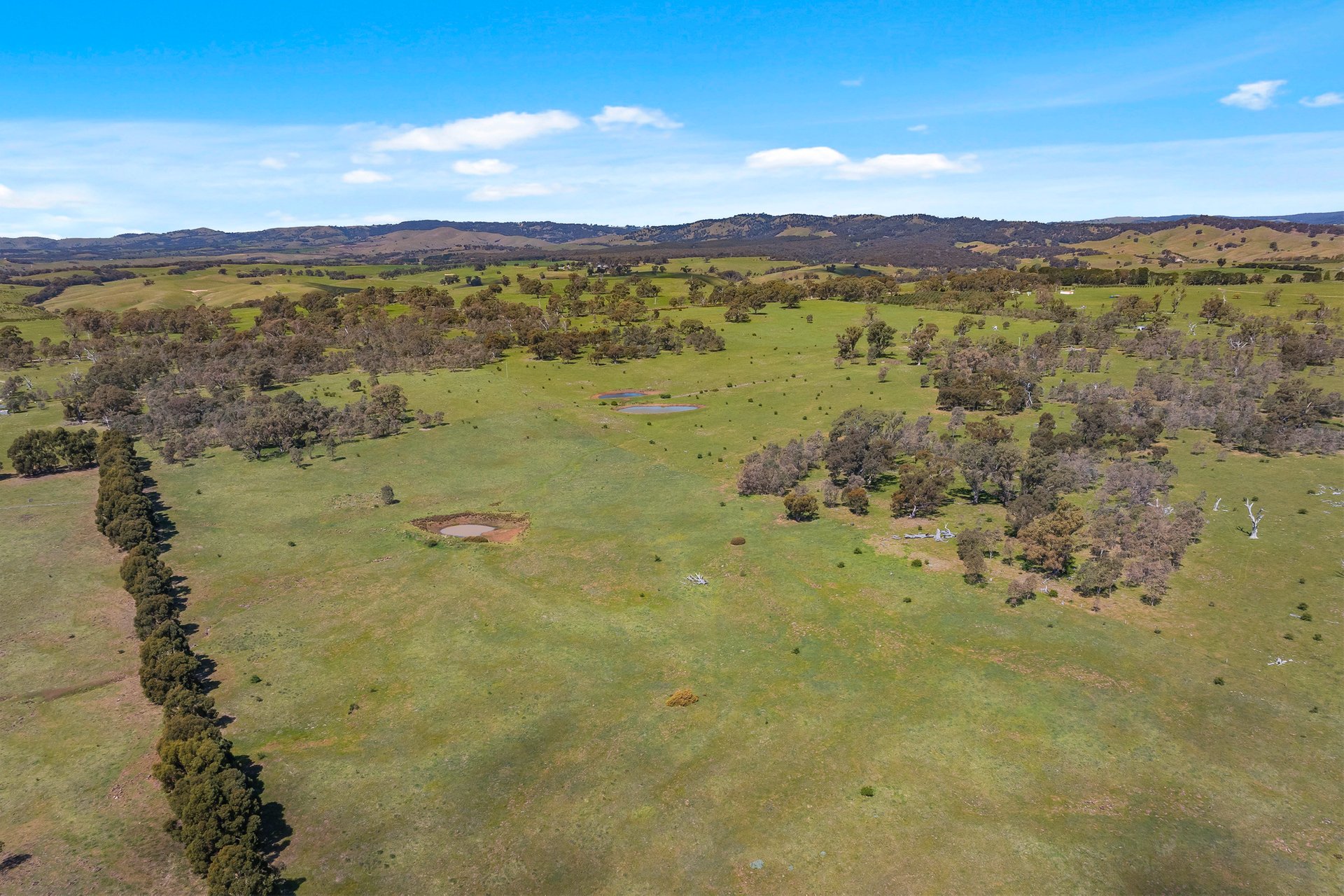 Property Gallery Thumbnail 7