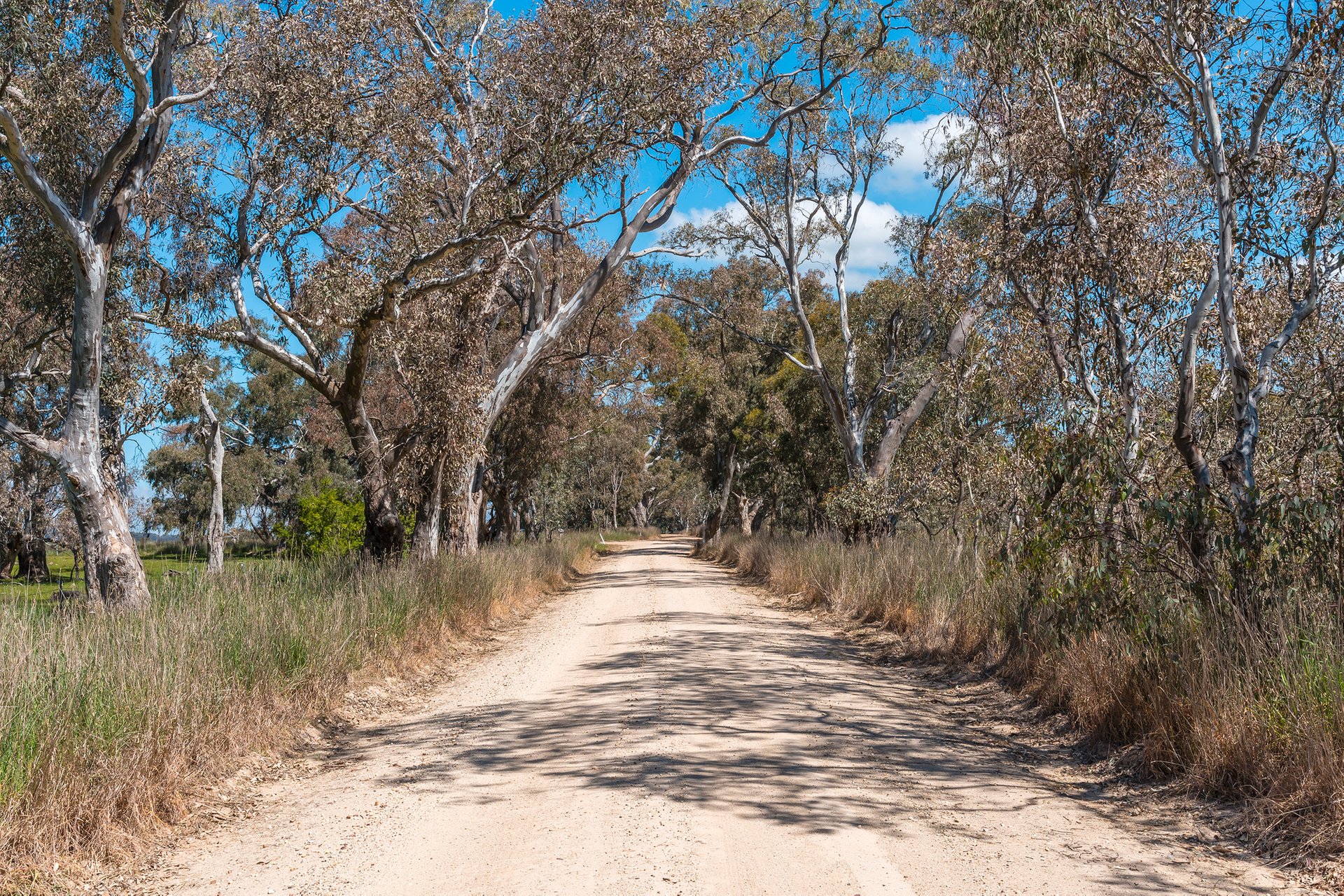 Property Gallery Thumbnail 9