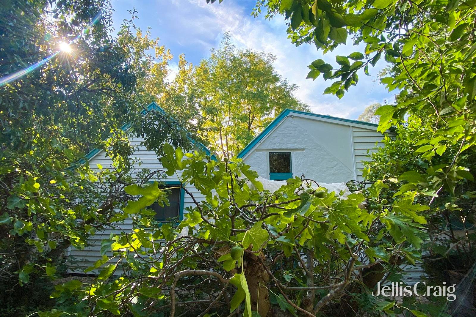 180 Golden Point Road, Golden&nbsp;Point image 19