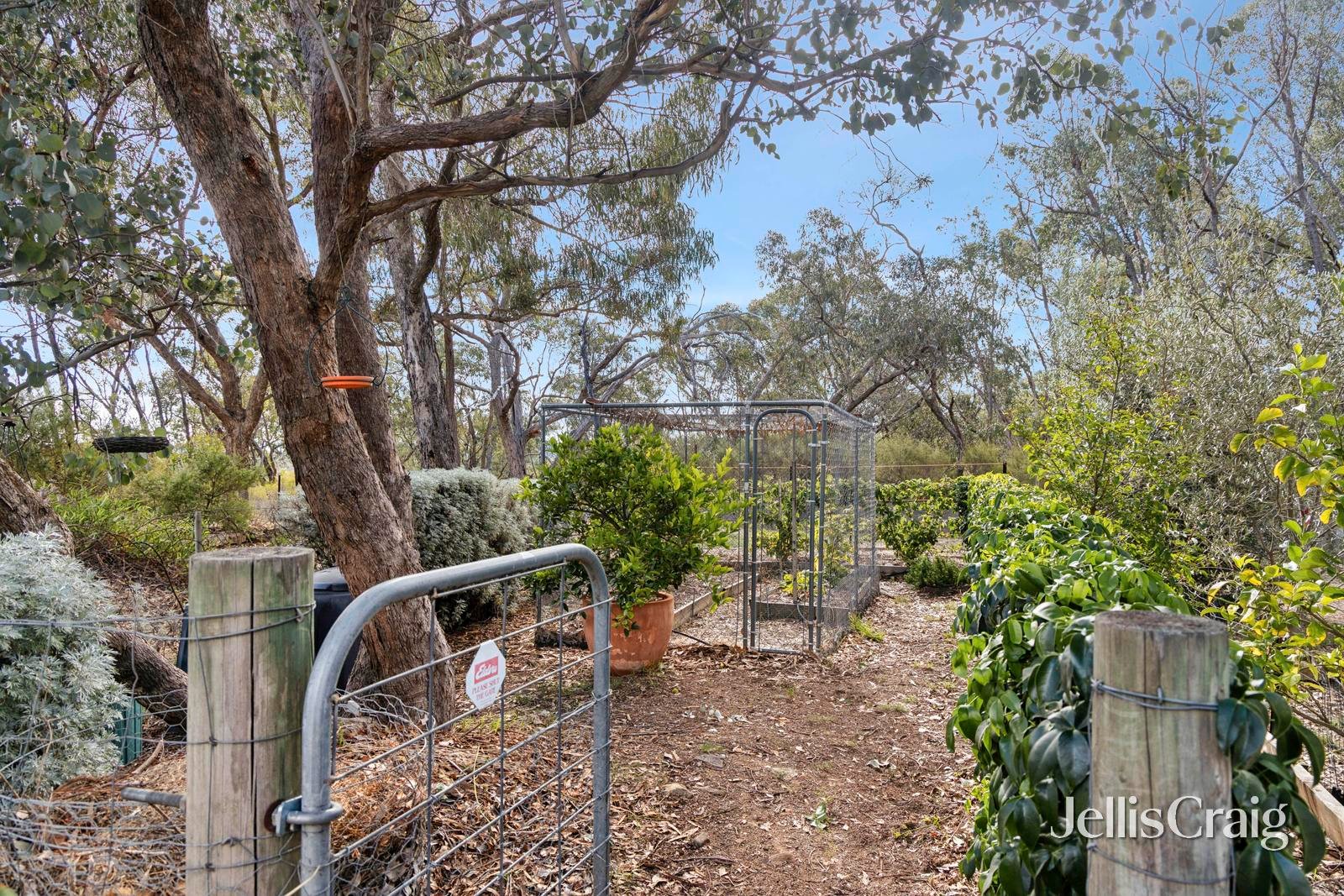 180 Goldspeck Gully Road, Chewton&nbsp;Bushlands image 13