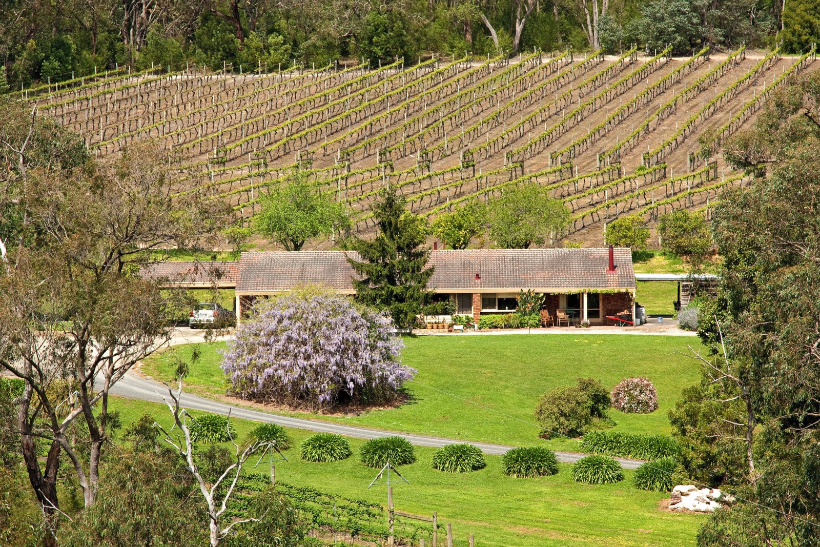 1800 Warburton Highway, Woori Yallock, VIC, 3139 RT Edgar