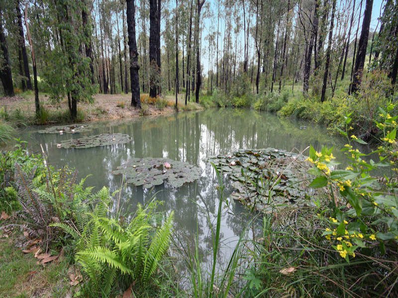 181 Gordons Bridge Road, Kinglake image 12