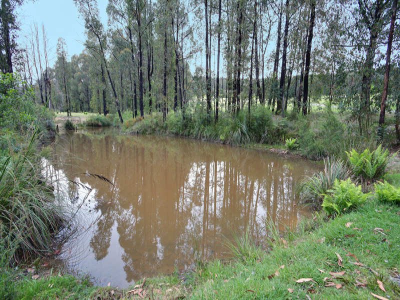 181 Gordons Bridge Road, Kinglake image 15