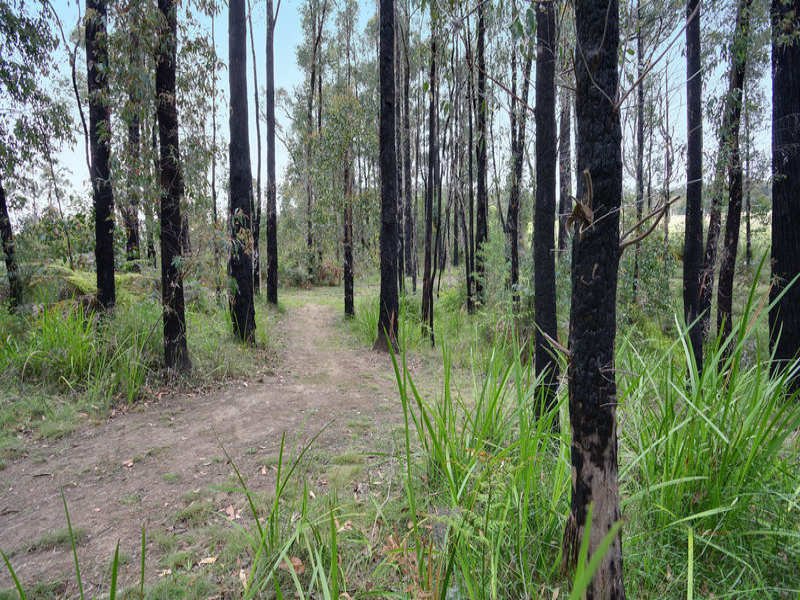 181 Gordons Bridge Road, Kinglake image 16