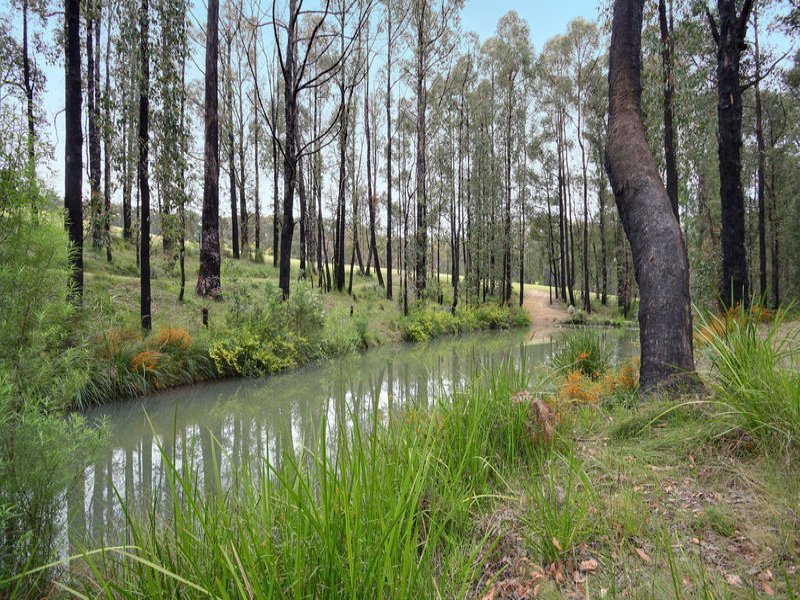 181 Gordons Bridge Road, Kinglake image 10