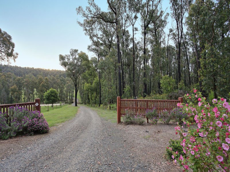 181 Gordons Bridge Road, Kinglake image 12