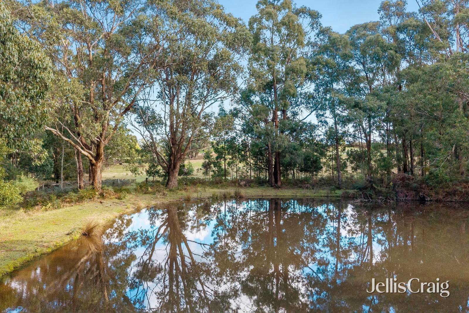 1814 Ballan Daylesford Road, Korweinguboora image 21