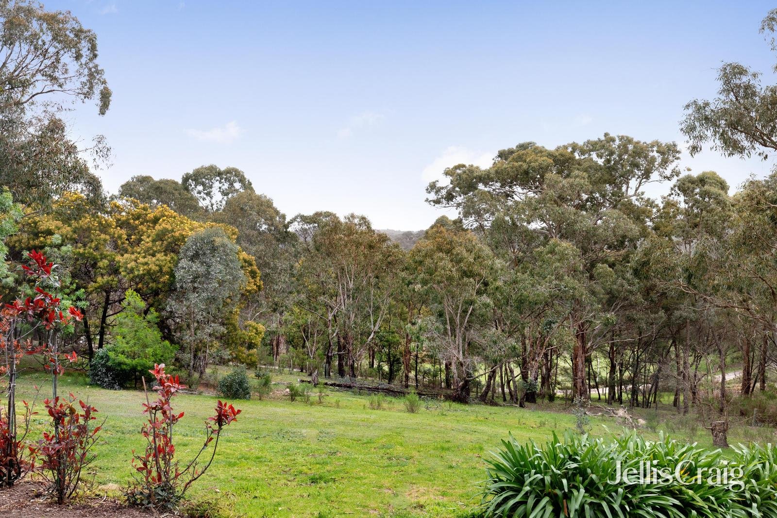 185 Christian Road, Cottles&nbsp;Bridge image 20