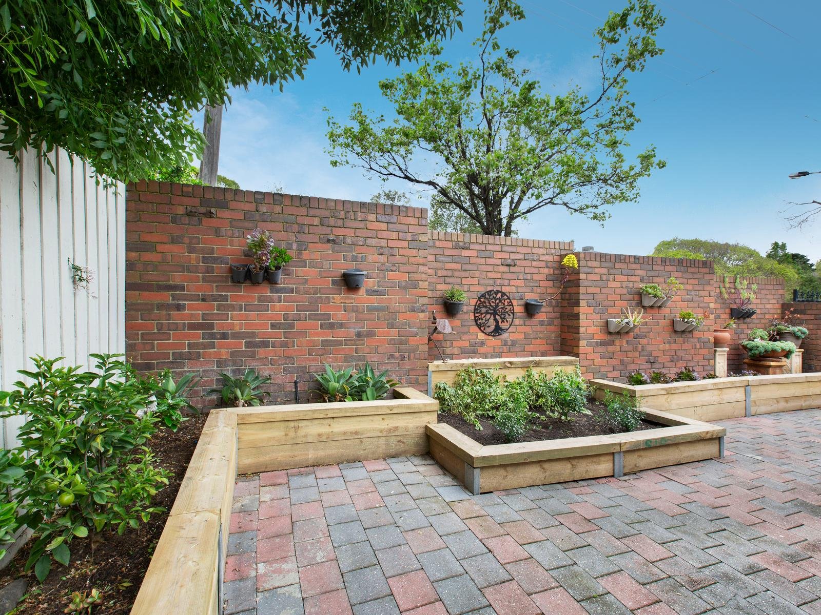 1/858 Toorak Road, Hawthorn East image 6