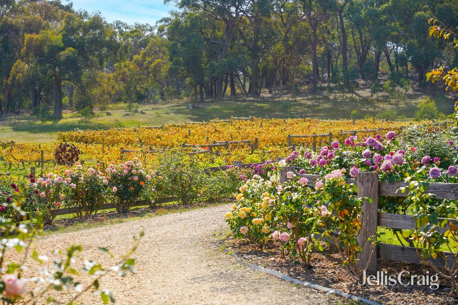 186 Three Chain Road, Walmer image 6
